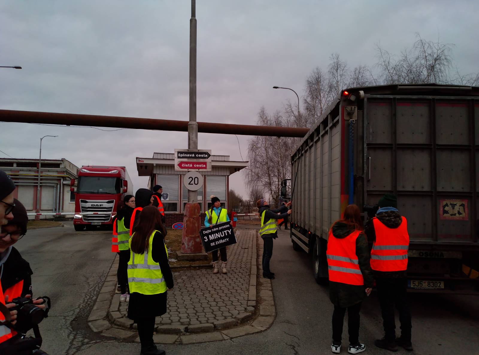 Picture of two trucks